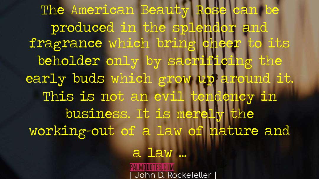 Latino American quotes by John D. Rockefeller