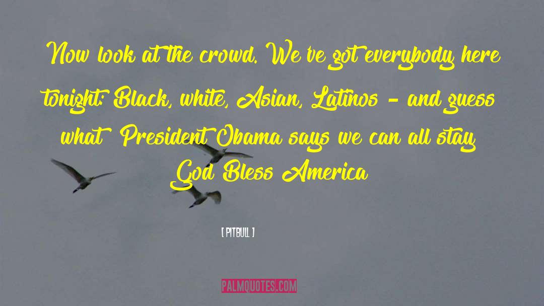 Latinos quotes by Pitbull