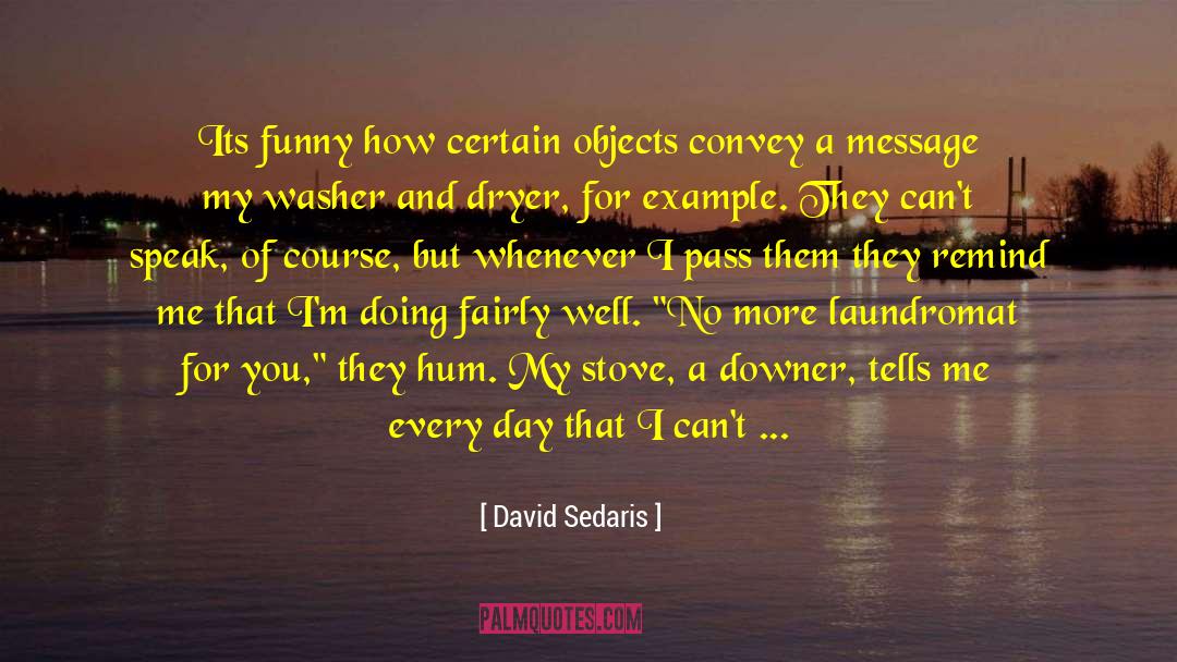 Laundromat quotes by David Sedaris