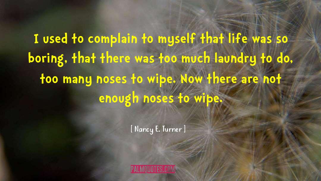 Laundry Detergent quotes by Nancy E. Turner