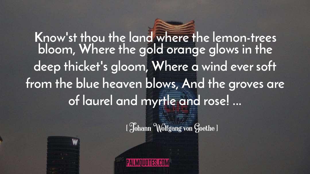 Laurels quotes by Johann Wolfgang Von Goethe