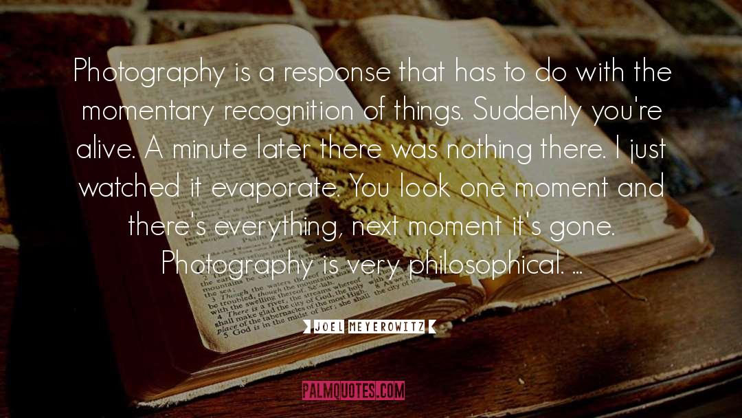 Laurentina Photography quotes by Joel Meyerowitz