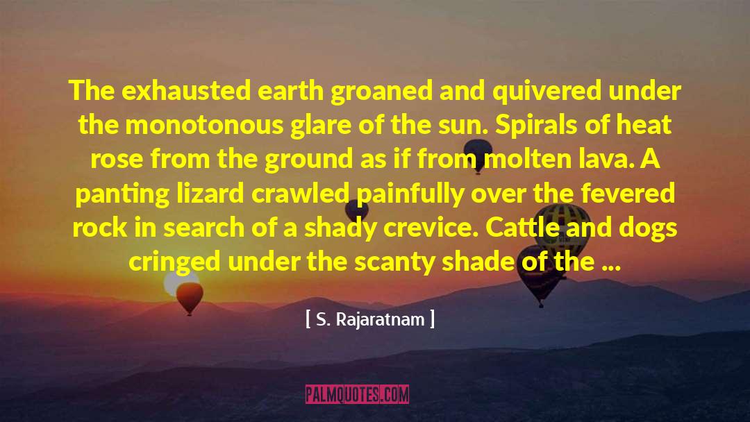 Lava quotes by S. Rajaratnam