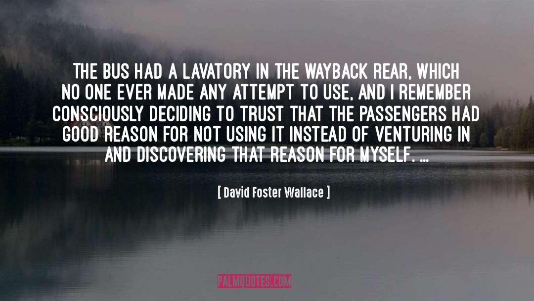 Lavatory quotes by David Foster Wallace