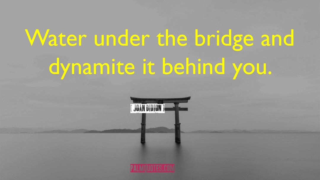 Lavinthal Signal Bridge quotes by Joan Didion