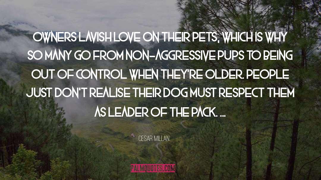 Lavish quotes by Cesar Millan