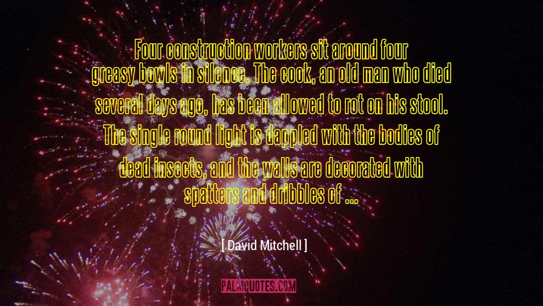 Lavishly Decorated quotes by David Mitchell