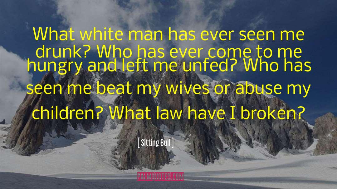 Law Courts quotes by Sitting Bull