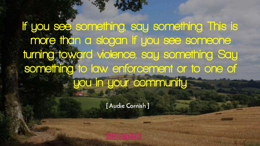 Law Enforcement quotes by Audie Cornish