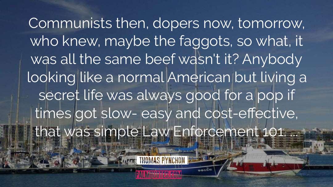 Law Enforcement quotes by Thomas Pynchon