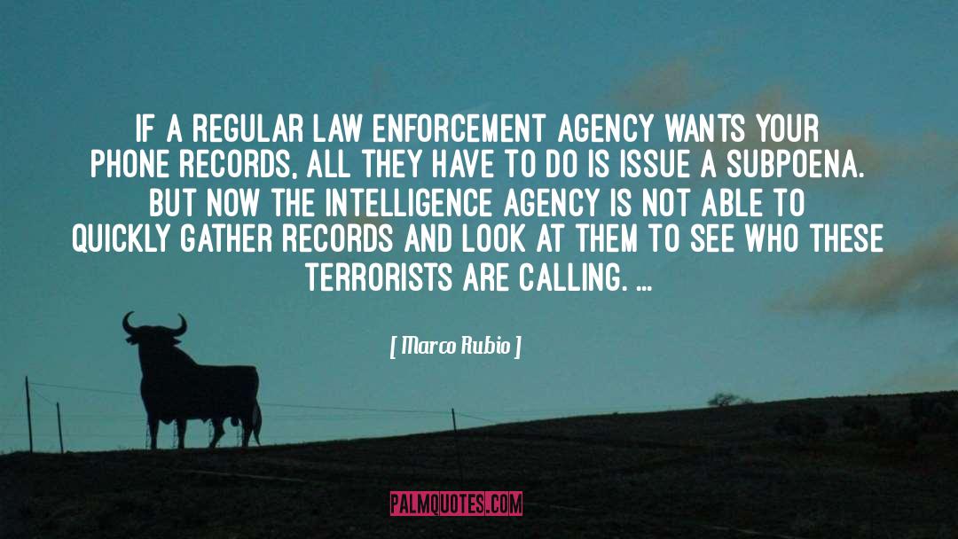 Law Enforcement quotes by Marco Rubio