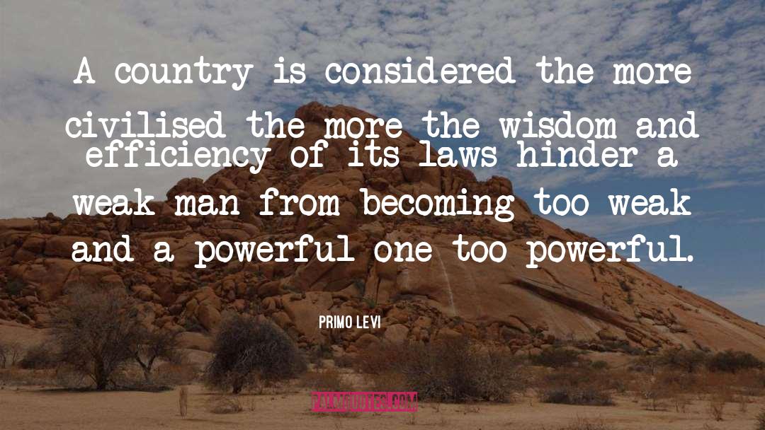 Law Firms quotes by Primo Levi