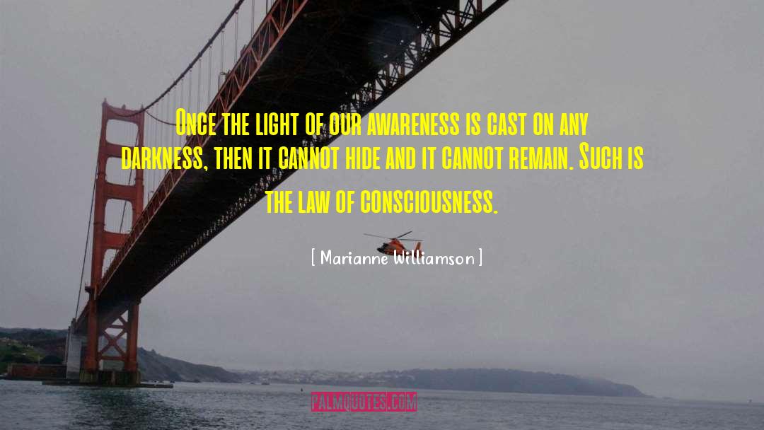 Law Makers quotes by Marianne Williamson