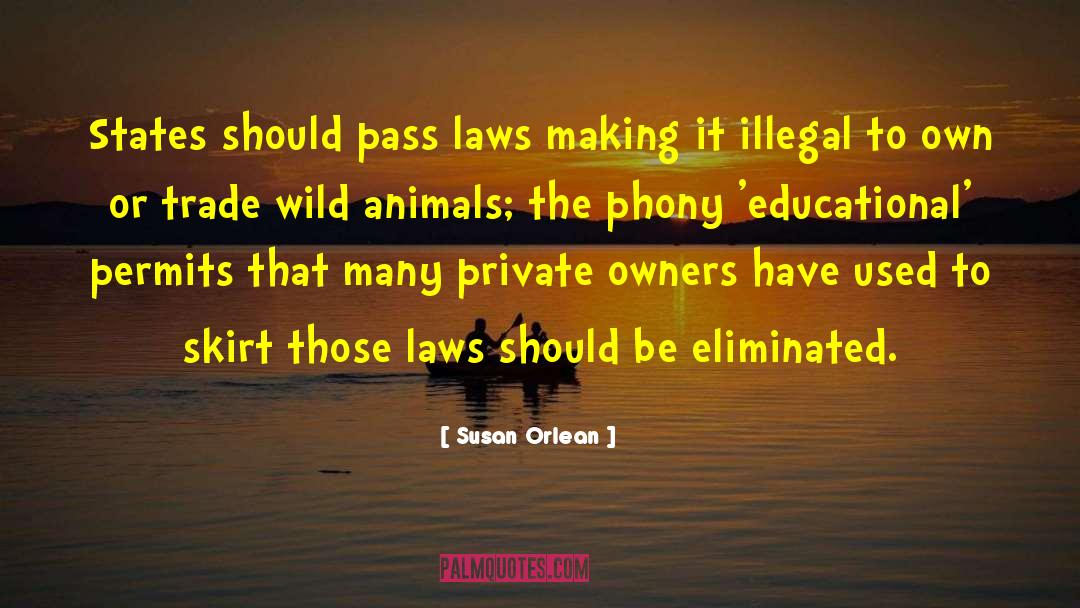 Law Making quotes by Susan Orlean