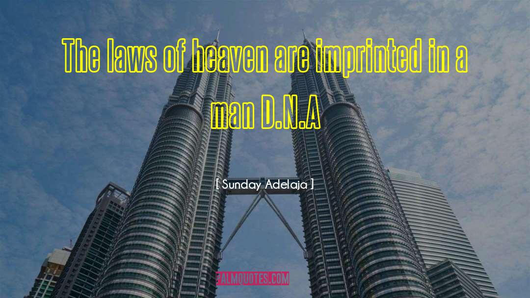 Law Man quotes by Sunday Adelaja