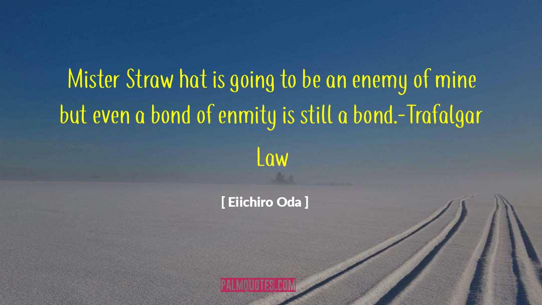 Law Of Diminishing Returns quotes by Eiichiro Oda