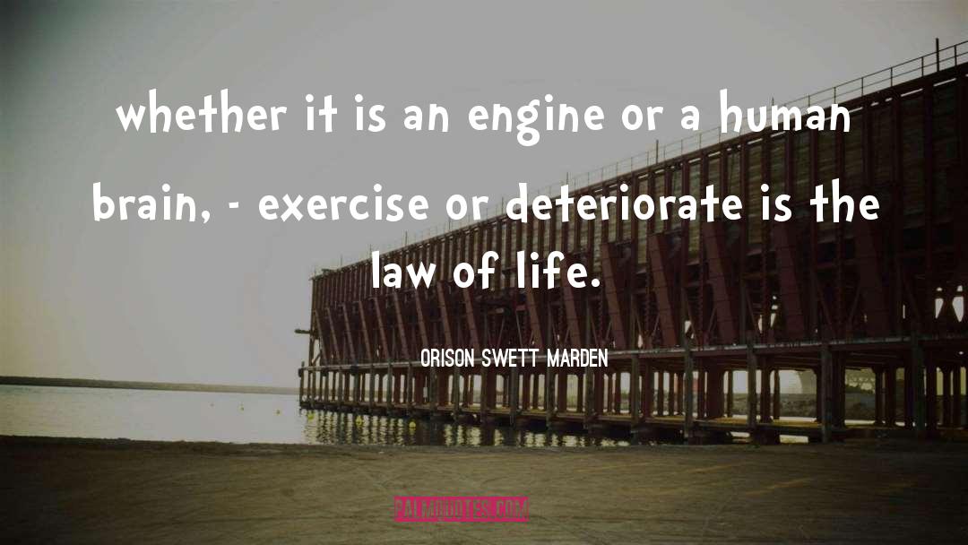 Law Of Life quotes by Orison Swett Marden