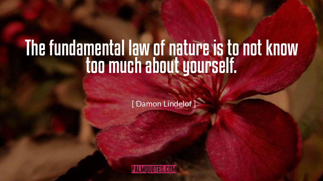 Law Of Singleness quotes by Damon Lindelof