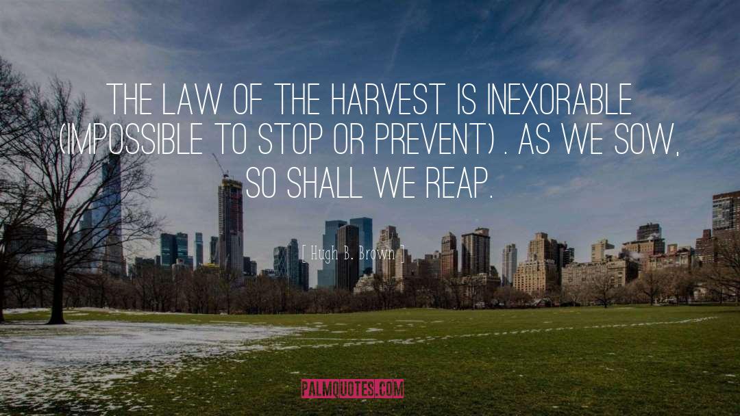 Law Of The Harvest quotes by Hugh B. Brown