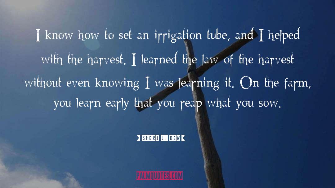 Law Of The Harvest quotes by Sheri L. Dew