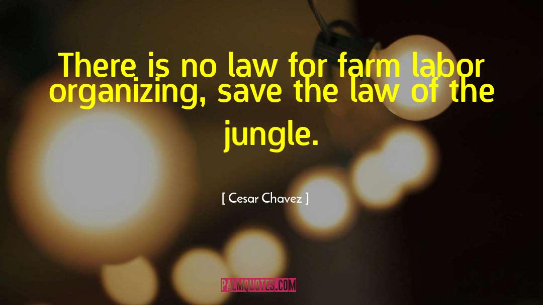 Law Of The Jungle quotes by Cesar Chavez