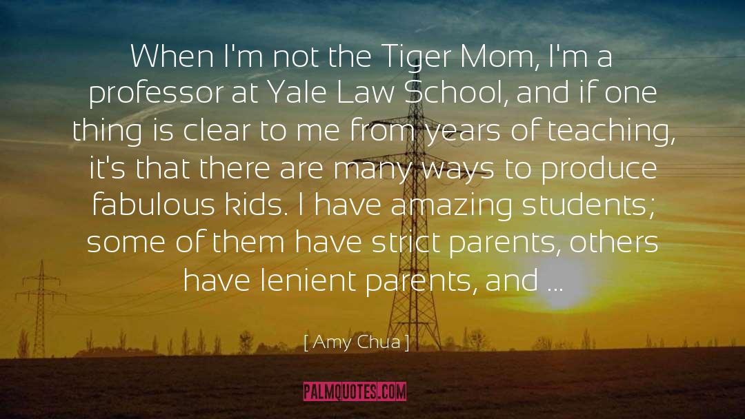 Law School quotes by Amy Chua