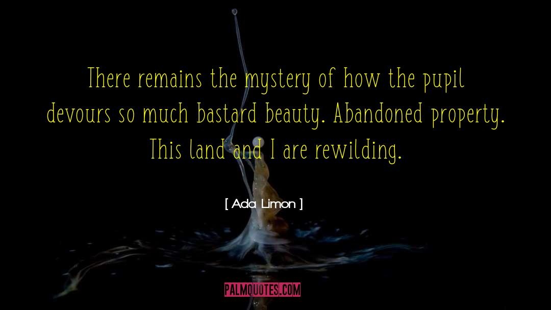Lawbreaking Abandoned quotes by Ada Limon