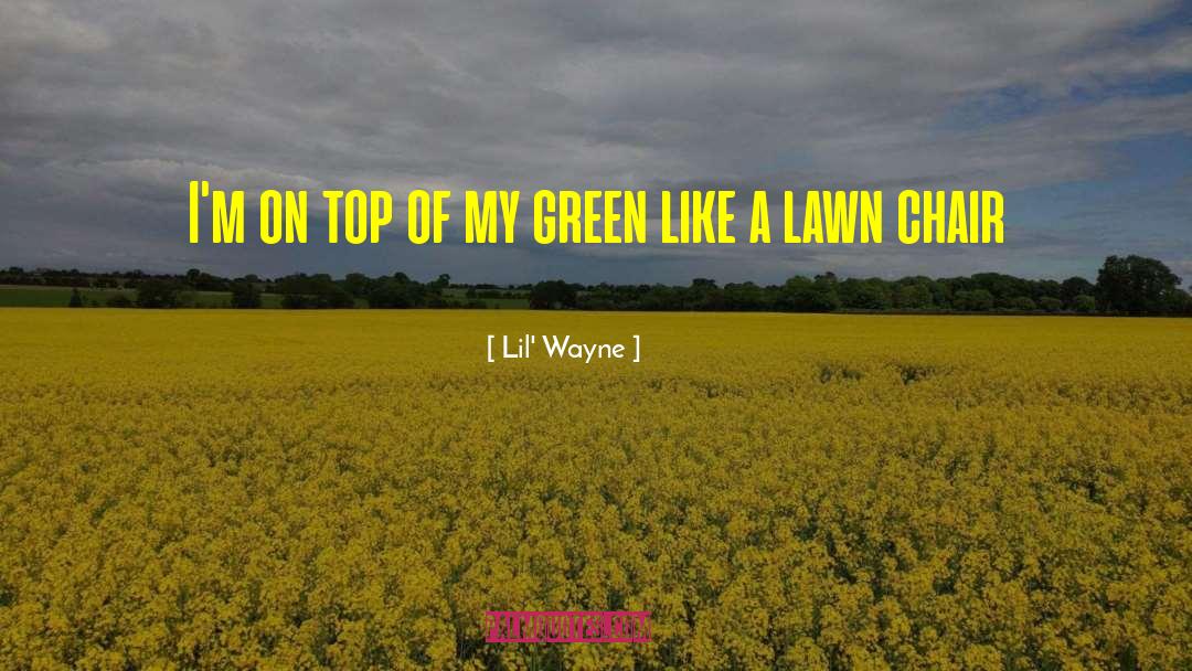 Lawn Chair Crisis quotes by Lil' Wayne