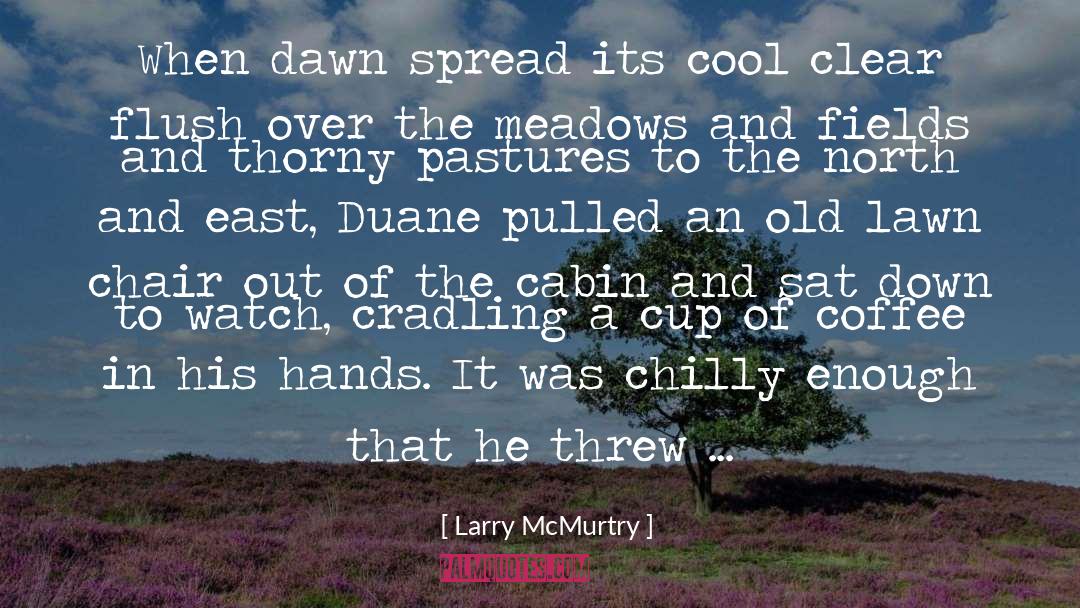 Lawn Chair Crisis quotes by Larry McMurtry