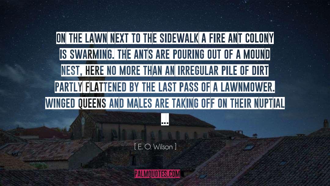 Lawnmower quotes by E. O. Wilson