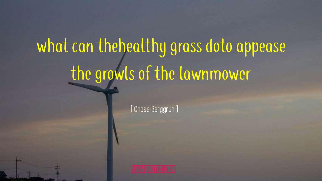 Lawnmower quotes by Chase Berggrun