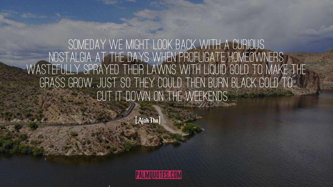 Lawns quotes by Alok Jha