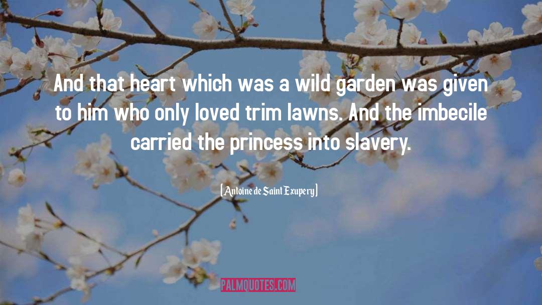 Lawns quotes by Antoine De Saint Exupery