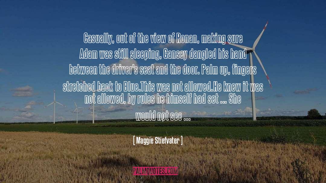 Laws And Rules quotes by Maggie Stiefvater