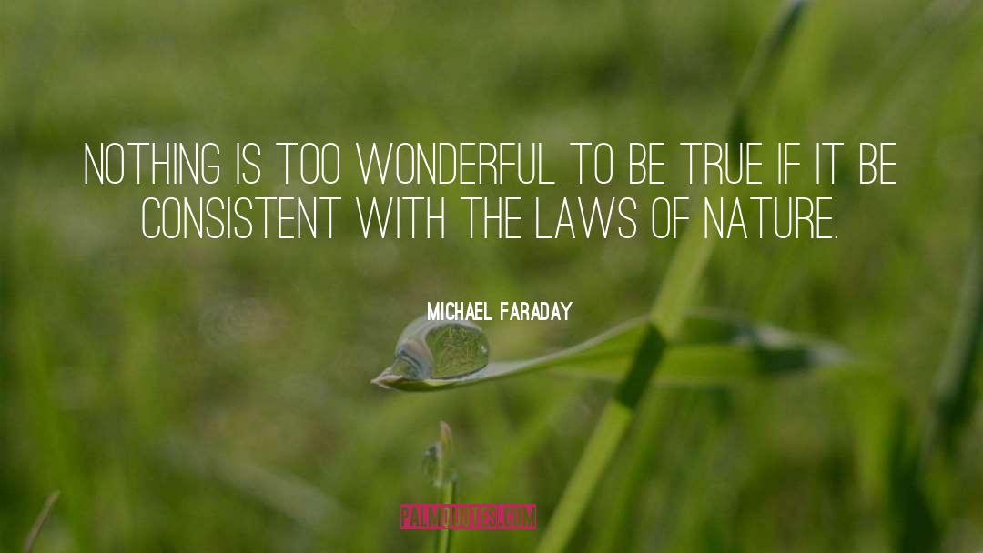 Laws Of Nature quotes by Michael Faraday