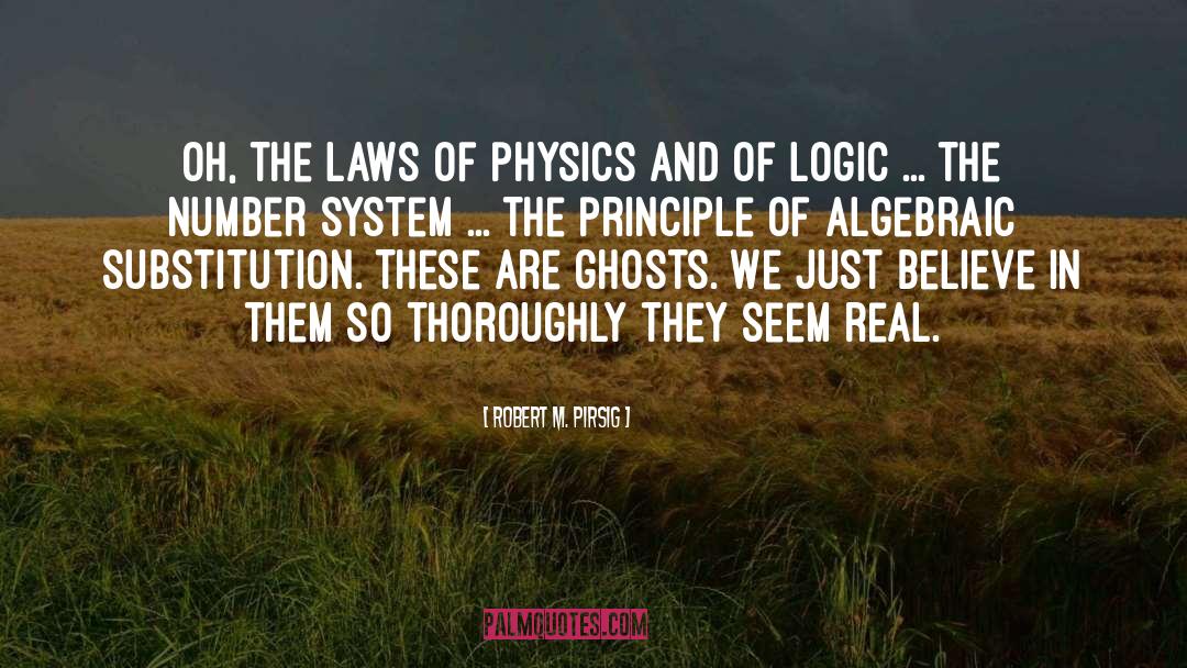 Laws Of Physics quotes by Robert M. Pirsig