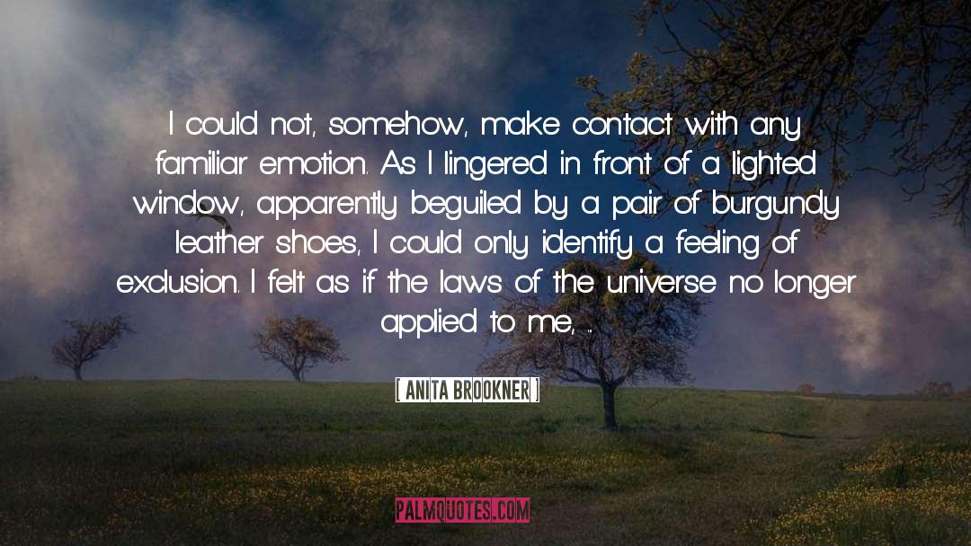 Laws Of The Universe quotes by Anita Brookner