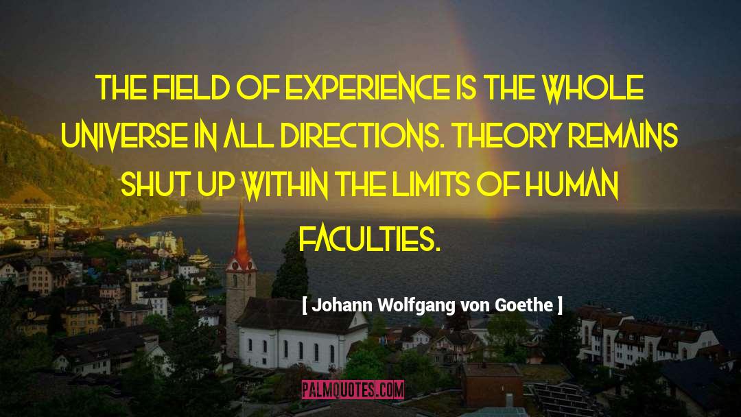 Laws Of Universe quotes by Johann Wolfgang Von Goethe
