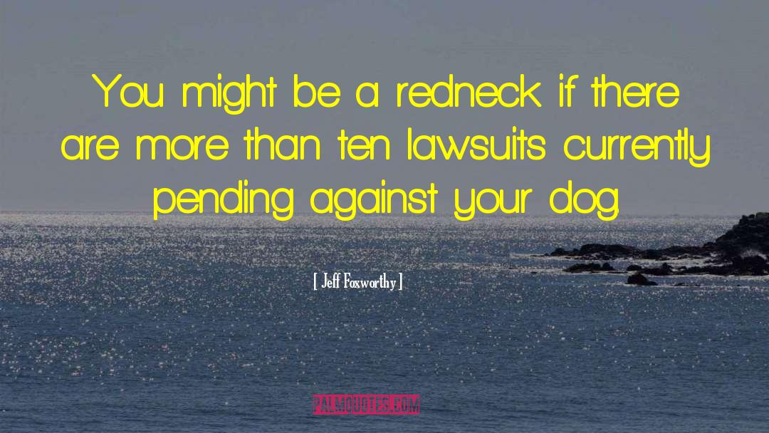 Lawsuits quotes by Jeff Foxworthy