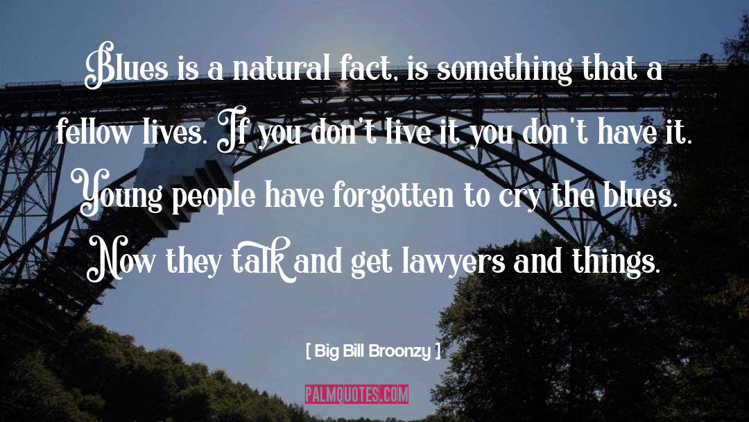 Lawyers quotes by Big Bill Broonzy