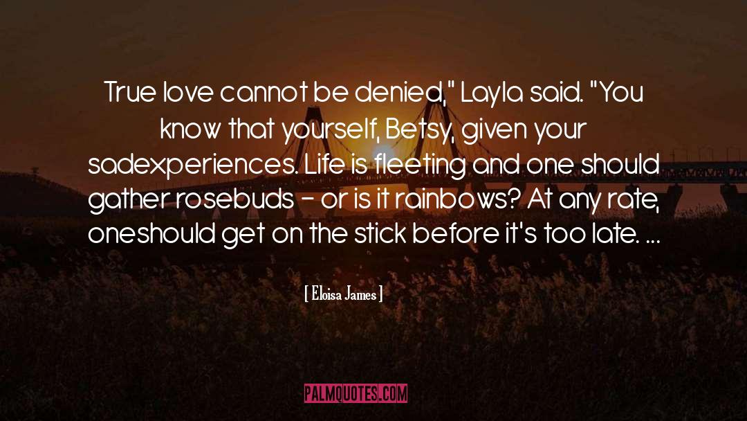 Layla Aminpour quotes by Eloisa James