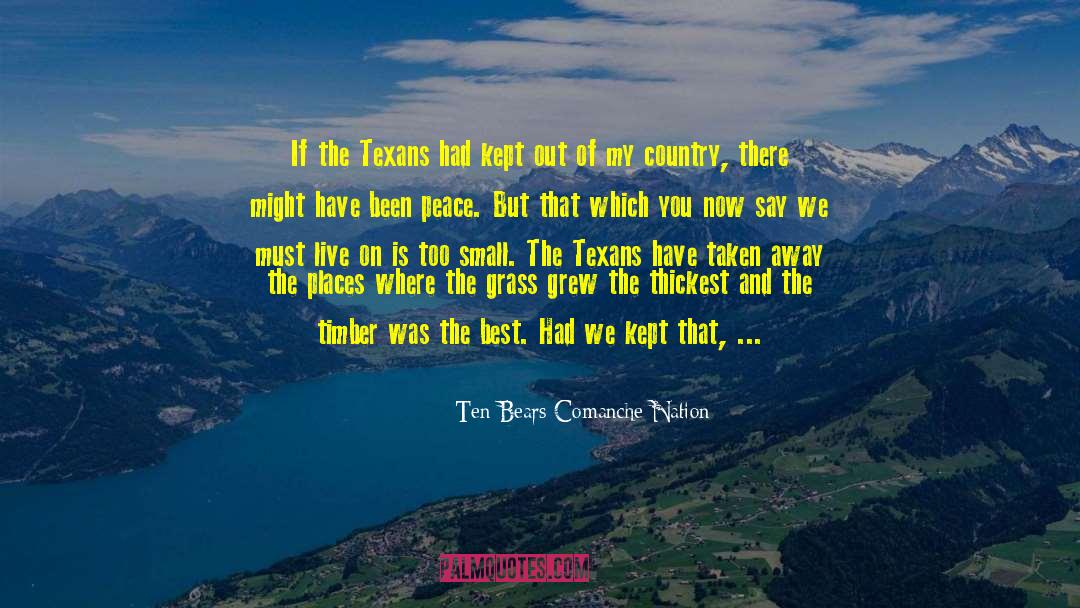 Lead Nation quotes by Ten Bears Comanche Nation