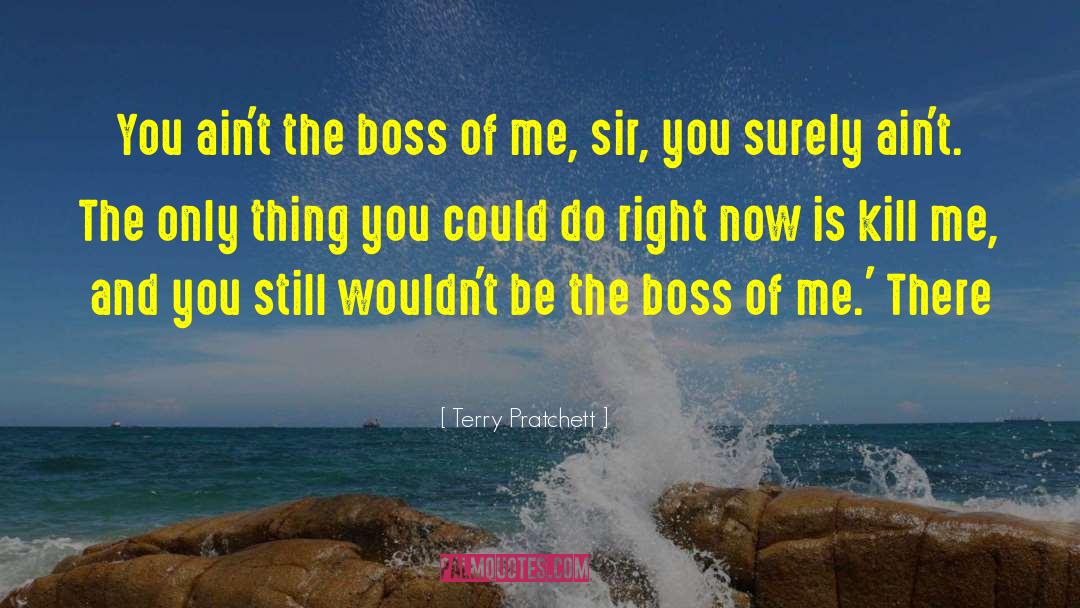 Leader Boss quotes by Terry Pratchett