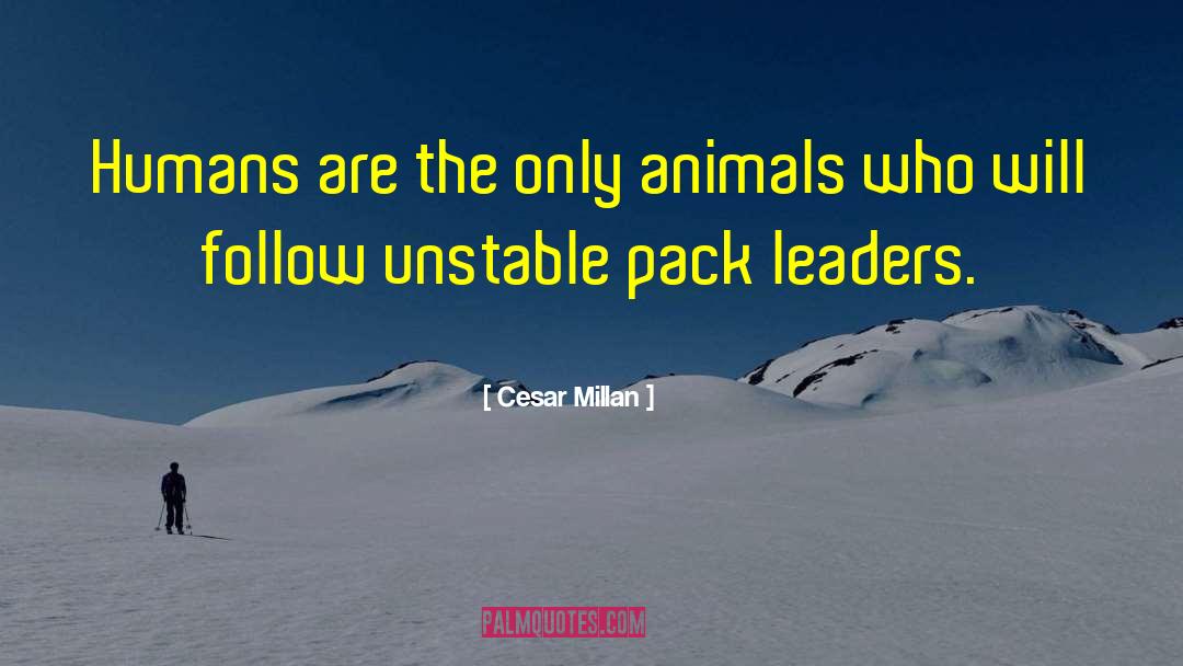 Leaderi Leaders quotes by Cesar Millan