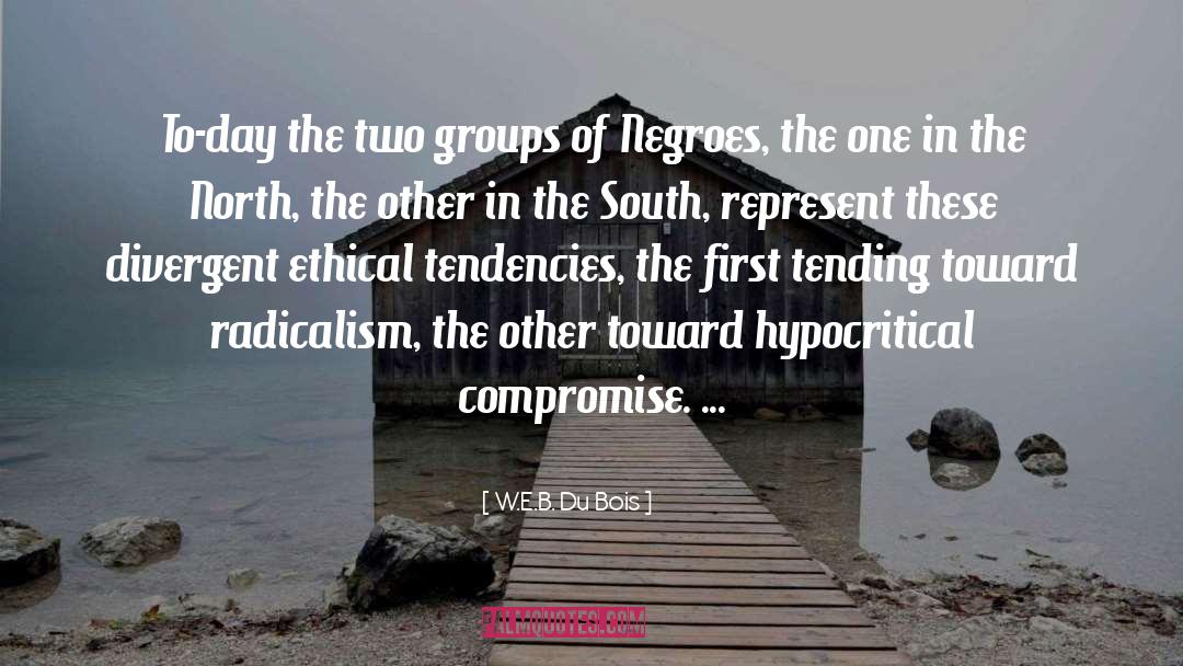 Leaderless Groups quotes by W.E.B. Du Bois