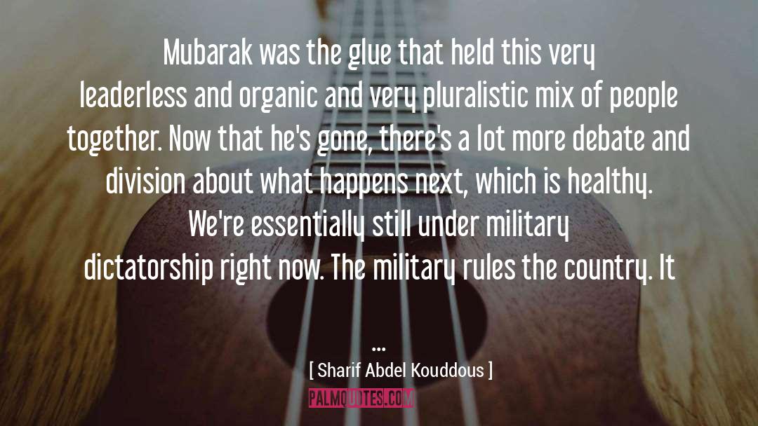 Leaderless quotes by Sharif Abdel Kouddous