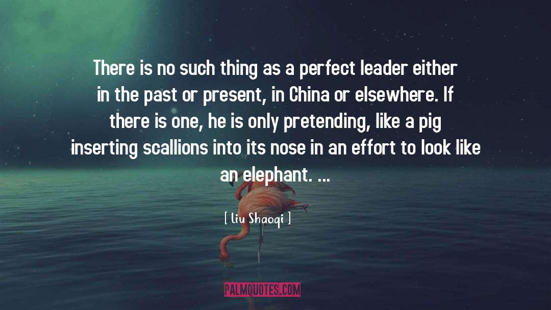 Leadership Development quotes by Liu Shaoqi