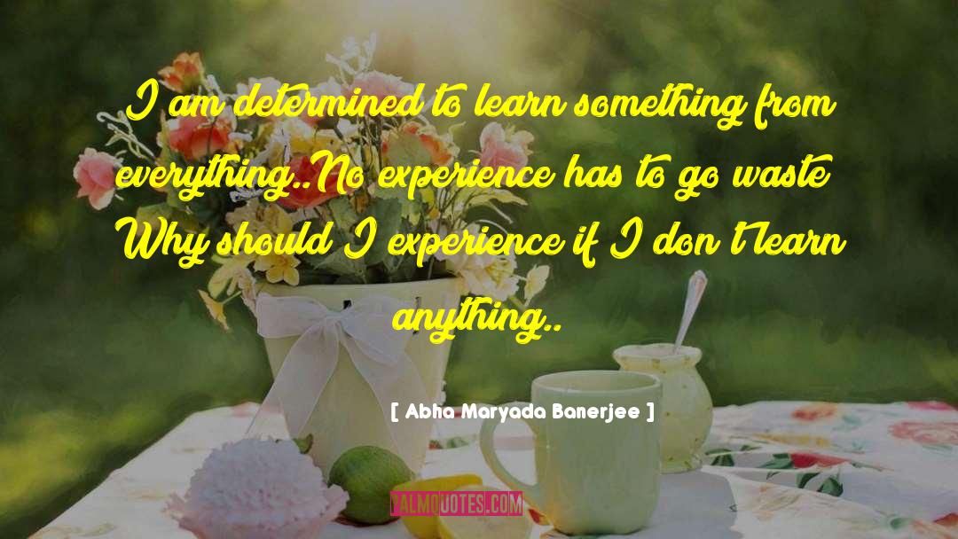 Leadership Nucleus quotes by Abha Maryada Banerjee