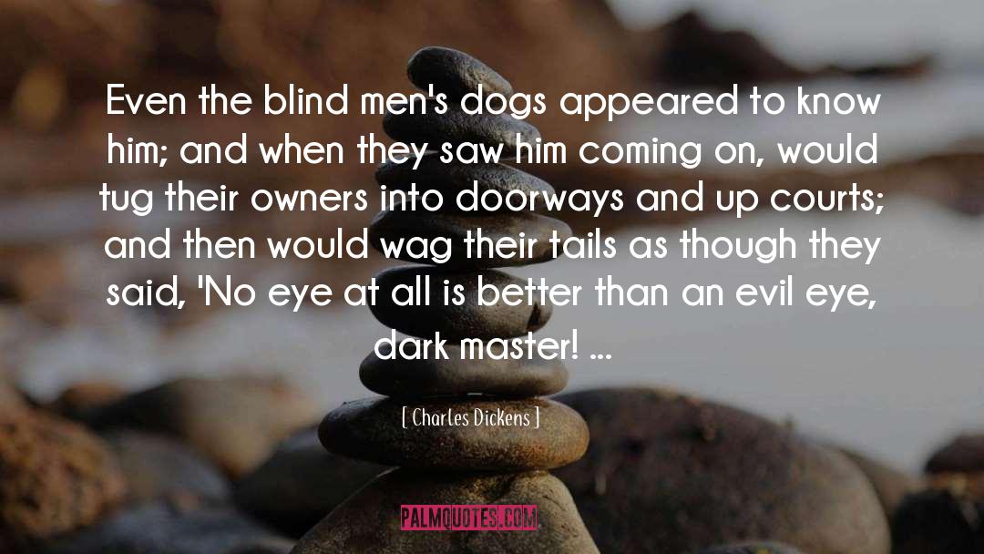 Leading The Blind quotes by Charles Dickens