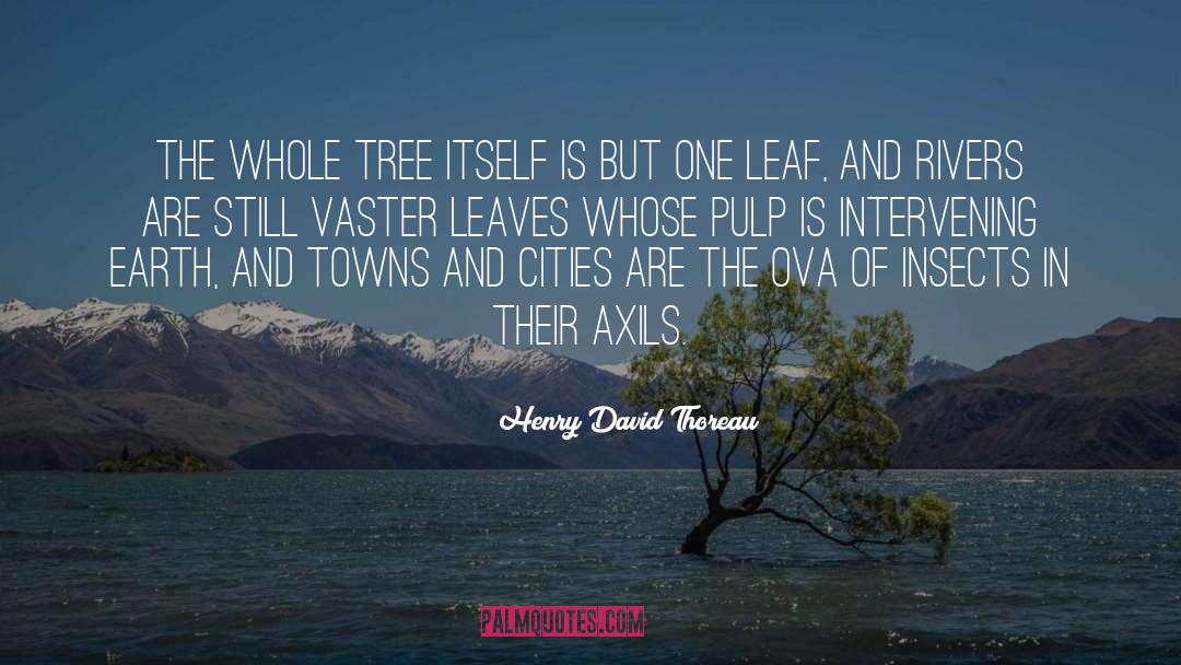 Leaf quotes by Henry David Thoreau